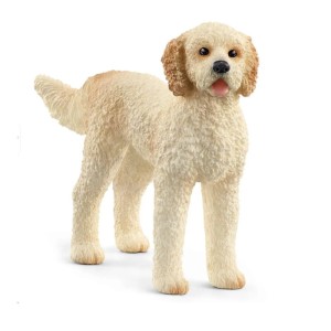 SLH GoldenDoodle 13939