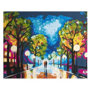 Malowanie po numerach 40x50cm Midnight Walk