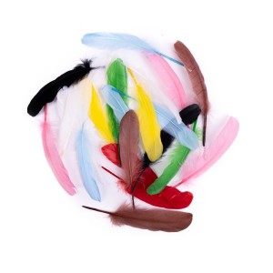 Ozdoba dekor Pióra Gęsie 16 cm 20 szt. multikolor Dp Craft
