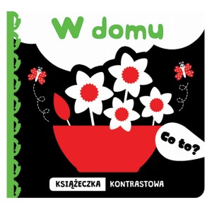 Aksjomat Książeczka kontrastowa Co to? W domu