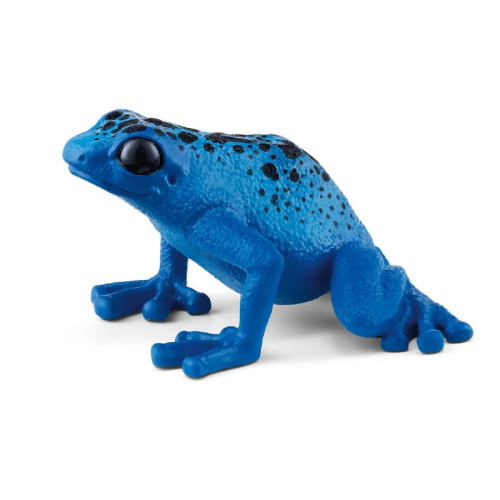 581.png