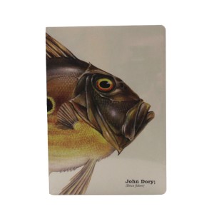 Notes A5 Ryba John Dory Zeus Faber