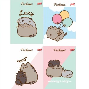 Zeszyt 32k linia kolor Pusheen