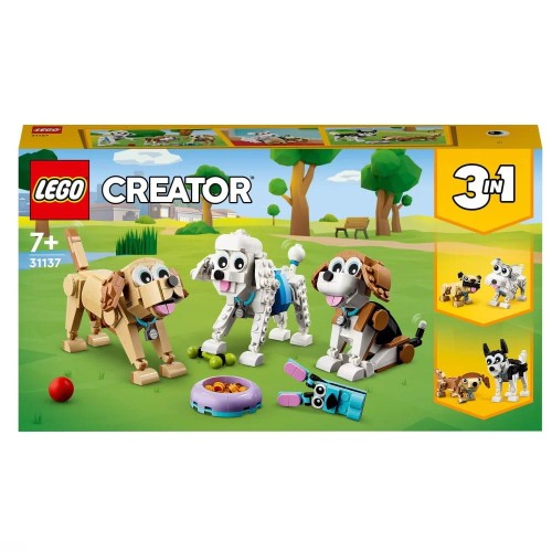 31137.jpg