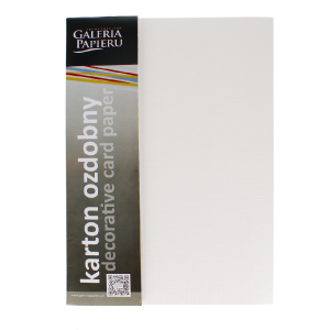 Papier wizytówkowy Holland diamentowa biel 230g 20