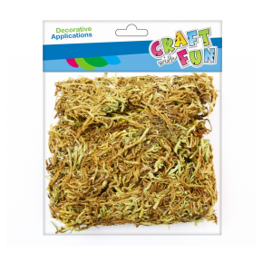 Ozdoba dekoracyjna Natura mech 50 g Craft 