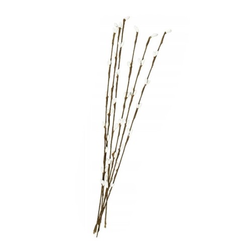 111.jpg