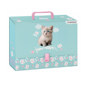 Teczka z rączką Kitty Starpak