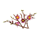 5902150685647 – kopia - 2026-02-27T172334.698.png