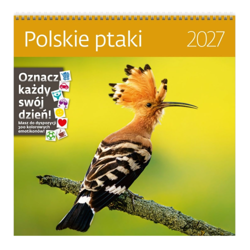 Projekt bez nazwy - 2026-09-03T142850.891.png