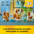 2 (13).png