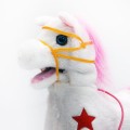 konik2.jpg