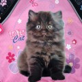 plecaczek-my-little-friends-5.jpg