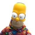 homer-1.jpg