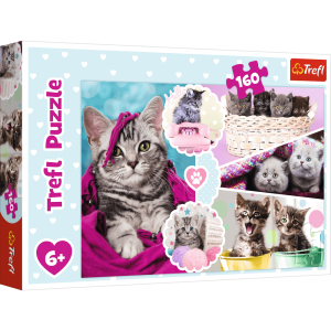 Puzzle 160 el. Urocze kotki