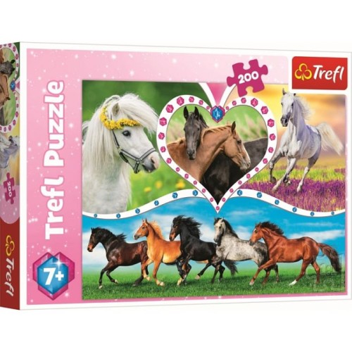 9c-puzzle-200-elementow-piek.jpg