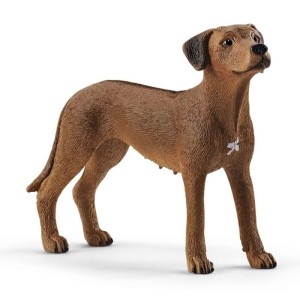 SLH Rhodesian Ridgeback 13895