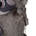 raccoon-2.jpg